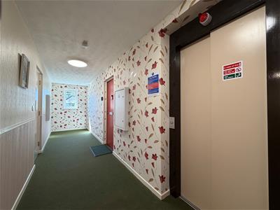 Picture 17